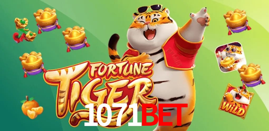 Experiência VIP 1071bet